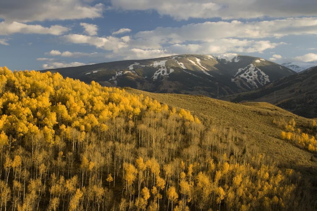 The Christie Lodge - All Suite Property Vail Valley/Beaver Creek Avon Exteriör bild